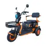 Kugoo T1