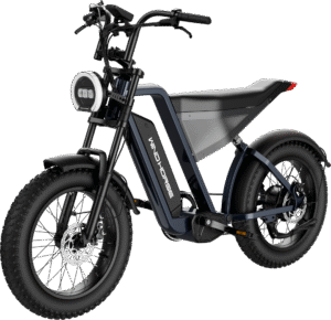 WIND HORSE D3 Electric Bike