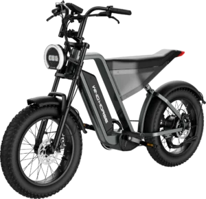WIND HORSE D3 Electric Bike - Image 3