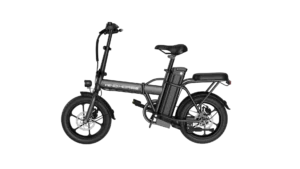 WIND HORSE W2 A Electric Bike - Image 4