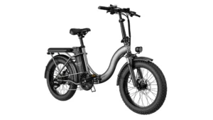 WIND HORSE W2 B Electric Bike - Image 6