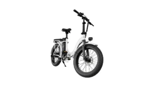 WIND HORSE W2 B Electric Bike - Image 3