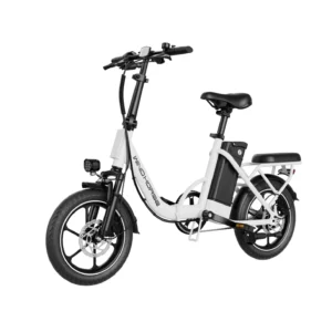 WIND HORSE W2 B Electric Bike - Image 2