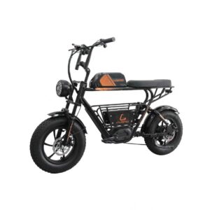 Kugoo Electric Scooter Bike